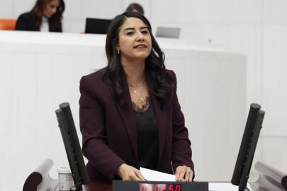 Şanlıurfa Milletvekili ‘Suruç yolu’ için bakana çağrı yaptı