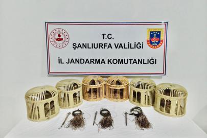 Şanlıurfa'da kaçak avcılara operasyon: 3 gözaltı