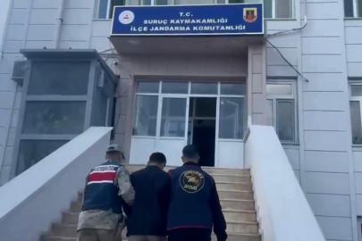 12 yıl hapis cezası bulunan şahıs Suruç’ta faka bastı