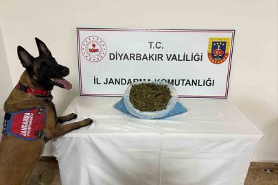 23 kilo esrar ele geçirildi