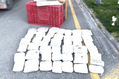 20 kilo skunk ele geçirildi