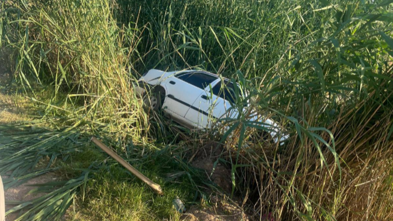 Harran’da otomobil şarampole uçtu