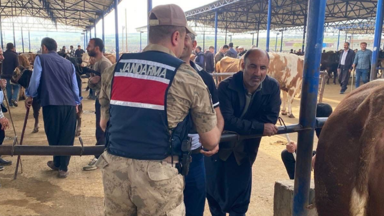 Hayvan pazarları ve kurban satış alanlarında tedbirler artırıldı