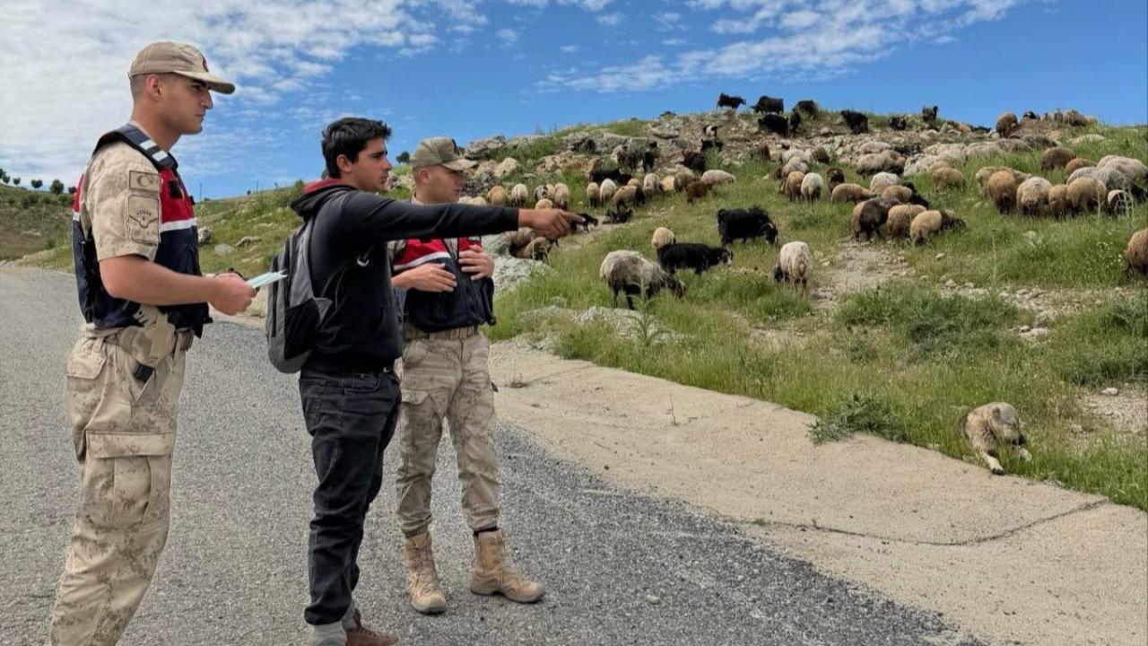 Jandarma, Kurban Bayramı öncesi hırsızlara karşı besicileri uyardı