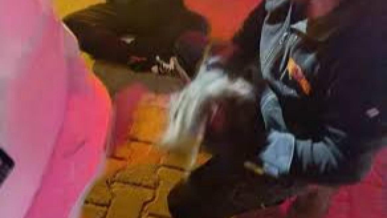 Motor kısmına sıkışan kedi için seferber oldular