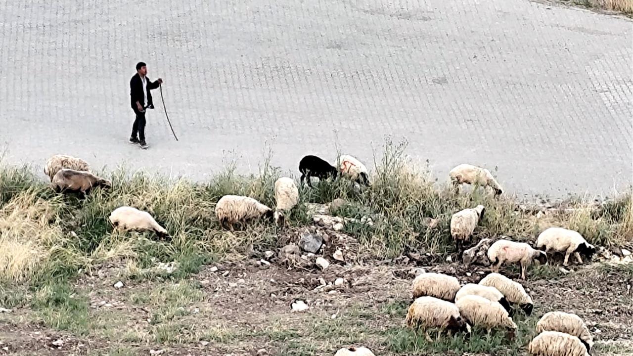 Şanlıurfa'da fiyatlar dibe vurdu