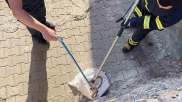 1 buçuk metrelik yılan evin bahçesinden çıktı