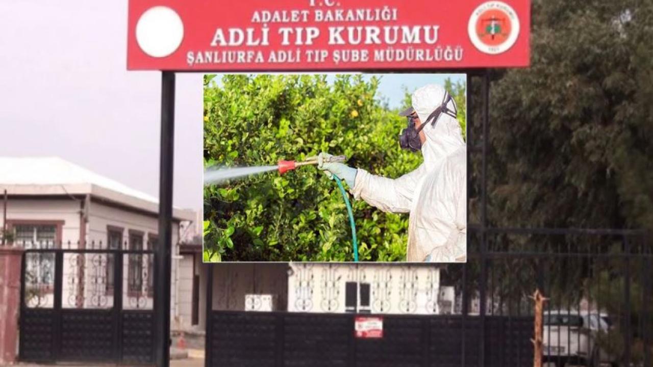 17 yaşındaki genci tarım ilacı mı hayattan kopardı?