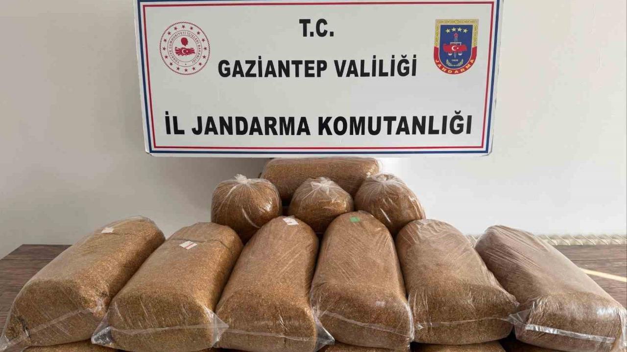 353 aranan şahıs yakalandı