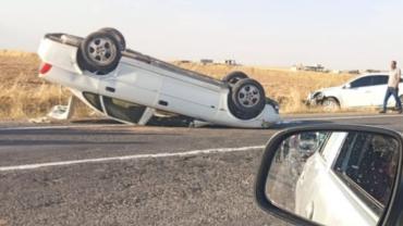 Akçakale-Ceylanpınar karayolunda trafik kazası