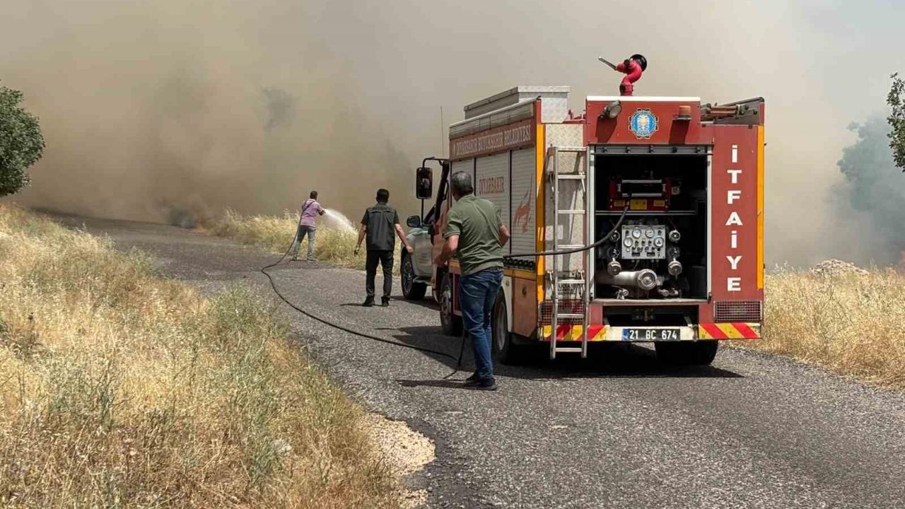 Ekili arazide yangın: Yüzlerce dönüm buğday tarlası kül oldu