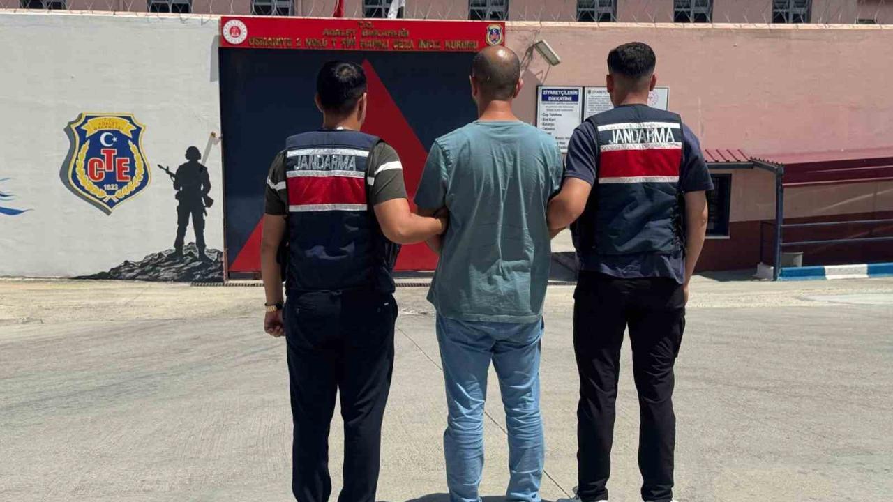 El-Kaide operasyonu: 1 tutuklama