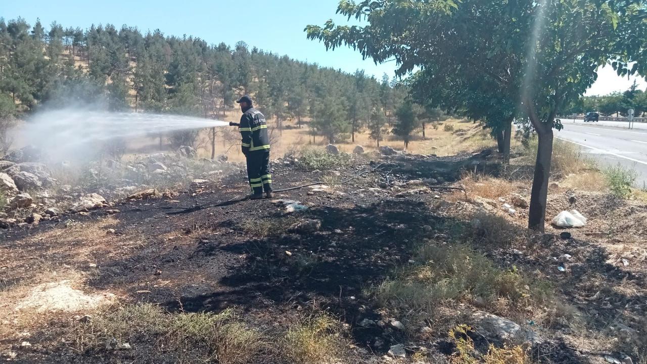 Eyyübiye'de orman yangını