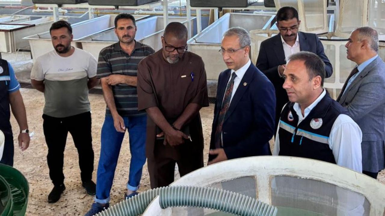 Gana Büyükelçisi, Urfa’daki potansiyelleri inceledi