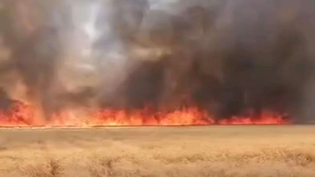 Harran’da 300 dönümlük buğday tarlası alevlere teslim oldu
