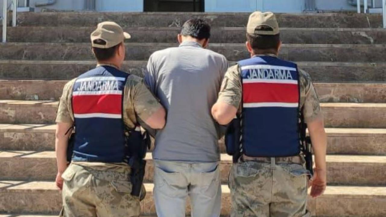 Harran'da dolandırıcılık hükümlüsü yakalandı