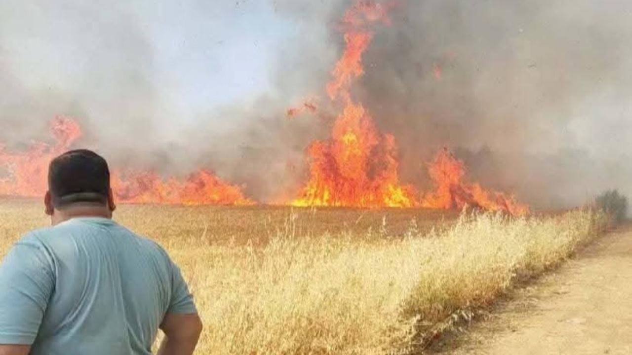 Harran'da korkutan yangın