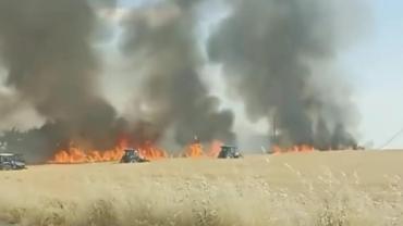 Harran'da tarlalar, alevlere teslim oldu