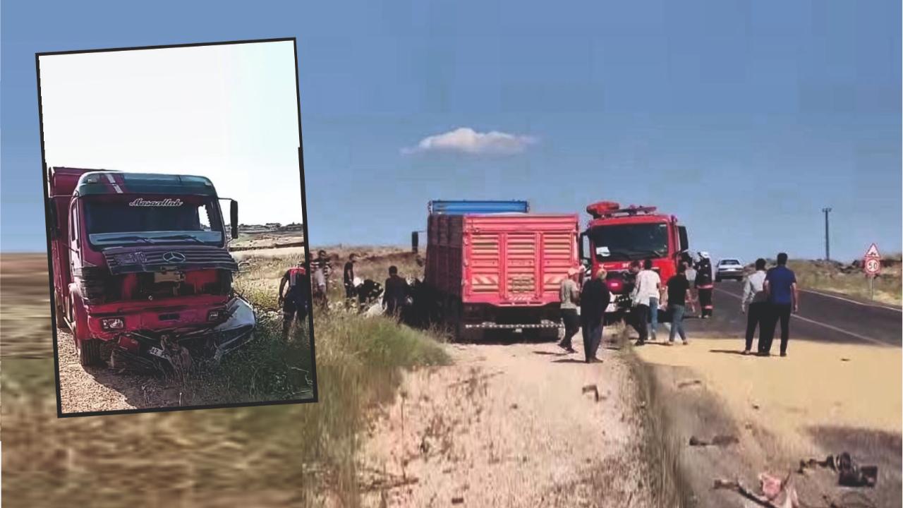 Korkunç kazayla ilgili flaş iddia