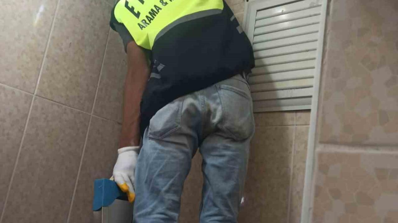 Lavabo borusuna sıkışan yavru kedi kurtarıldı