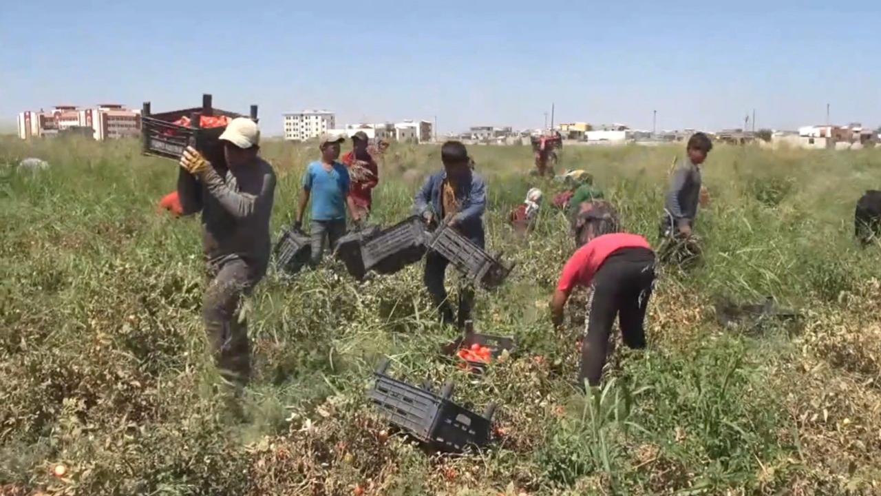 Mevsimlik Göç, şehri hayalet şehre çevirdi