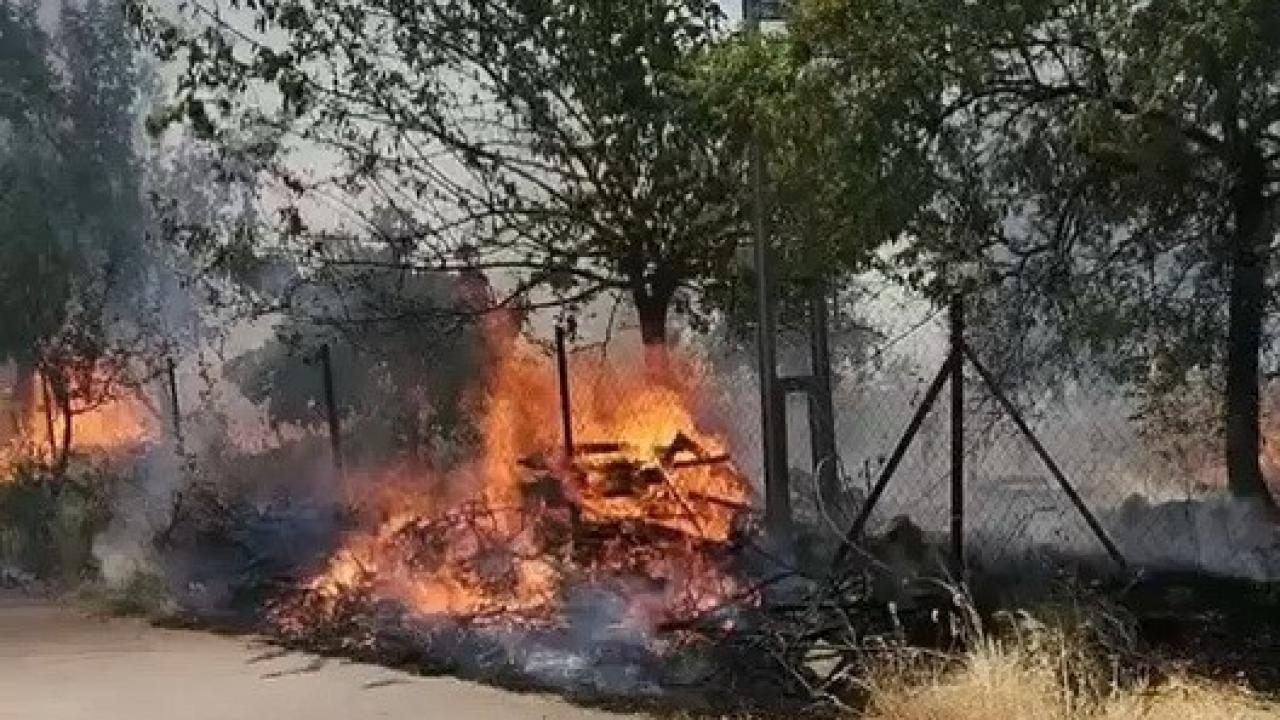 Ormanlık alanda çıkan yangın korkuttu