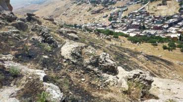 Ormanlık alanda çıkan yangın söndürüldü