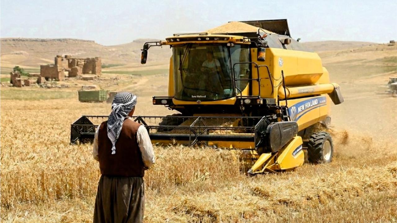 Şanlıurfa'da hububat biçim fiyatları açıklandı