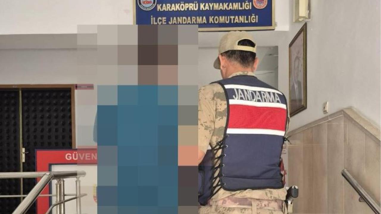 Şanlıurfa'da jandarma, suçlulara geçit vermiyor