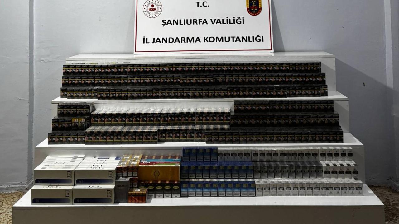Şanlıurfa'da jandarmadan 22 kişi hakkında resmi işlem