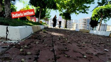 Şanlıurfa'da kaldırımlar ve parklar renk değiştirdi