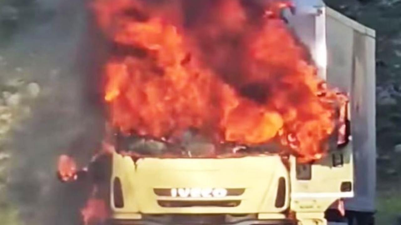 Şanlıurfa'da kamyonet alevlere teslim oldu