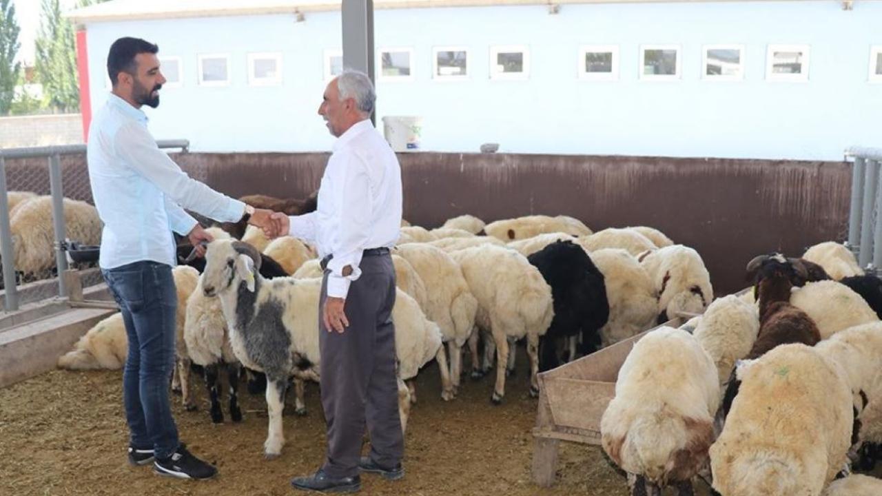 Şanlıurfa'da KBKD Projesi ilk etap sonuçları açıklandı
