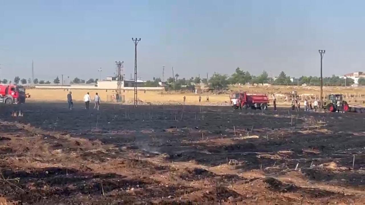Şanlıurfa’da tefecilik ve suçtan kaynaklanan malvarlığı değerlerini aklama suçlarına yönelik düzenlenen operasyonda gözaltına alınan 12 şüpheliden 6’sı tutuklandı.