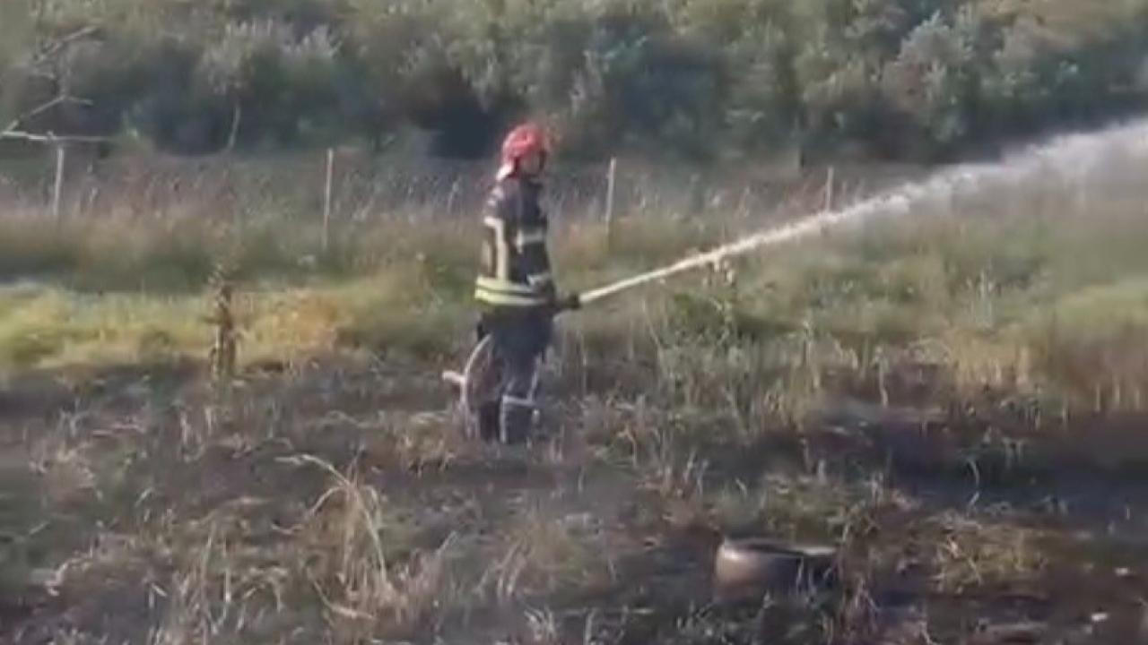 Tankerin lastiklerinden çıkan yangın zeytin bahçesine sıçradı