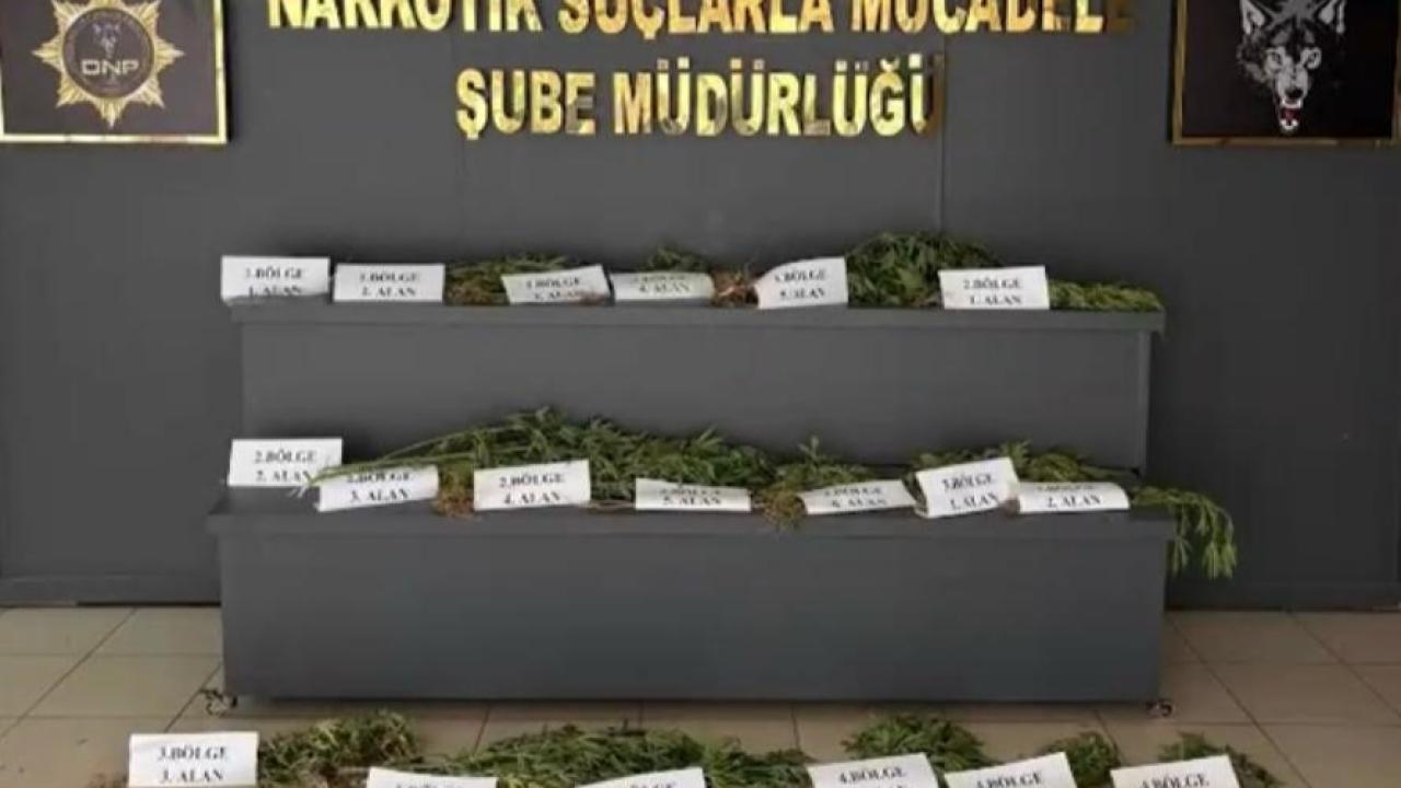 UNESCO Dünya Mirası Listesi’ndeki Hevsel Bahçeleri’nde uyuşturucu ele geçirildi