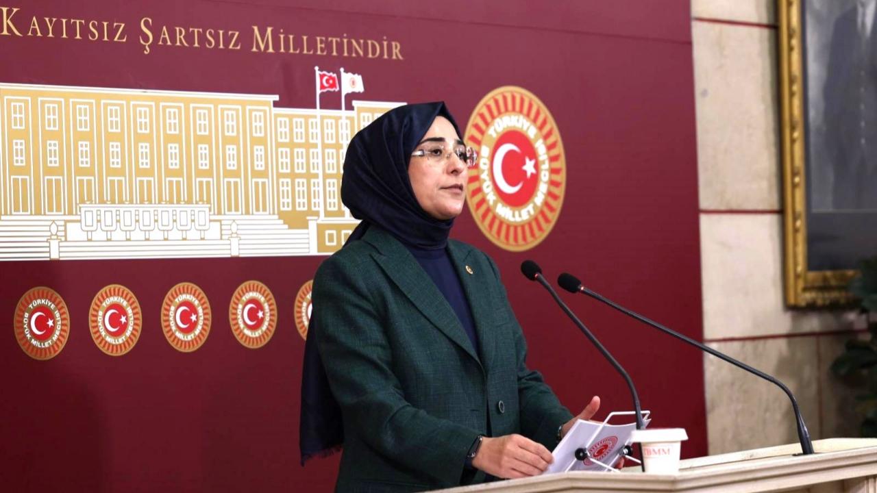 Vekil Yazmacı'dan AP raporuna tepki