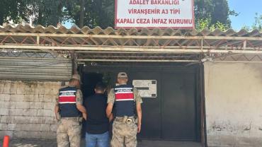 Yağma suçundan hüküm yemiş suçlu Viranşehir'de yakalandı