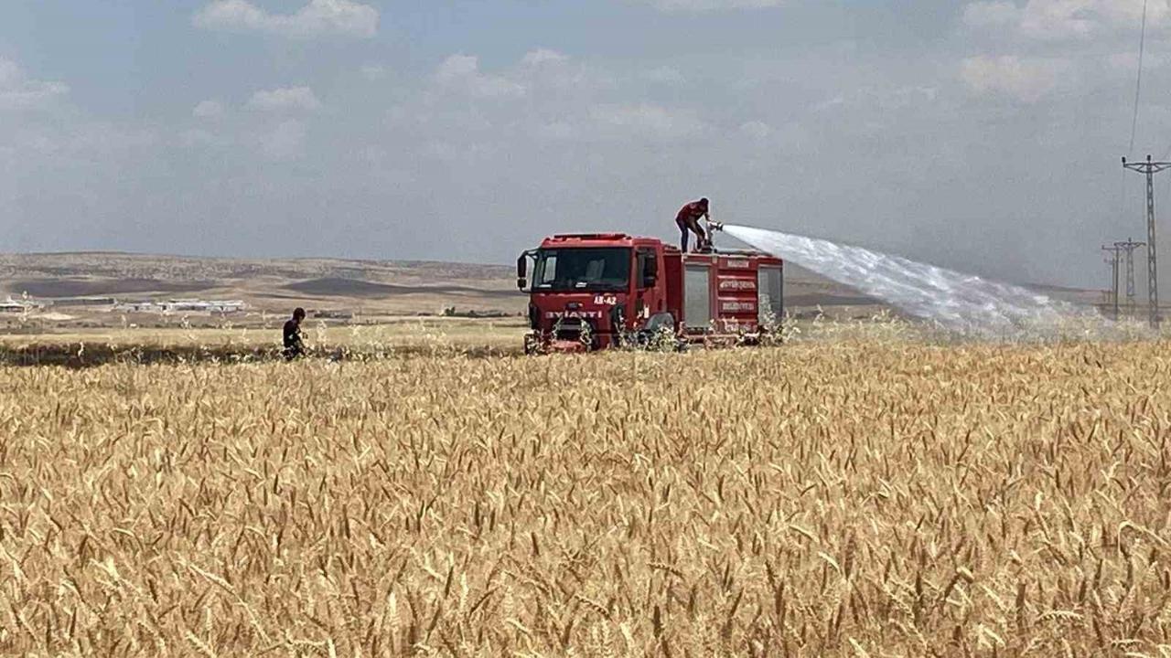 yaklaşık 300 dönüm ekili alan alevlere teslim oldu