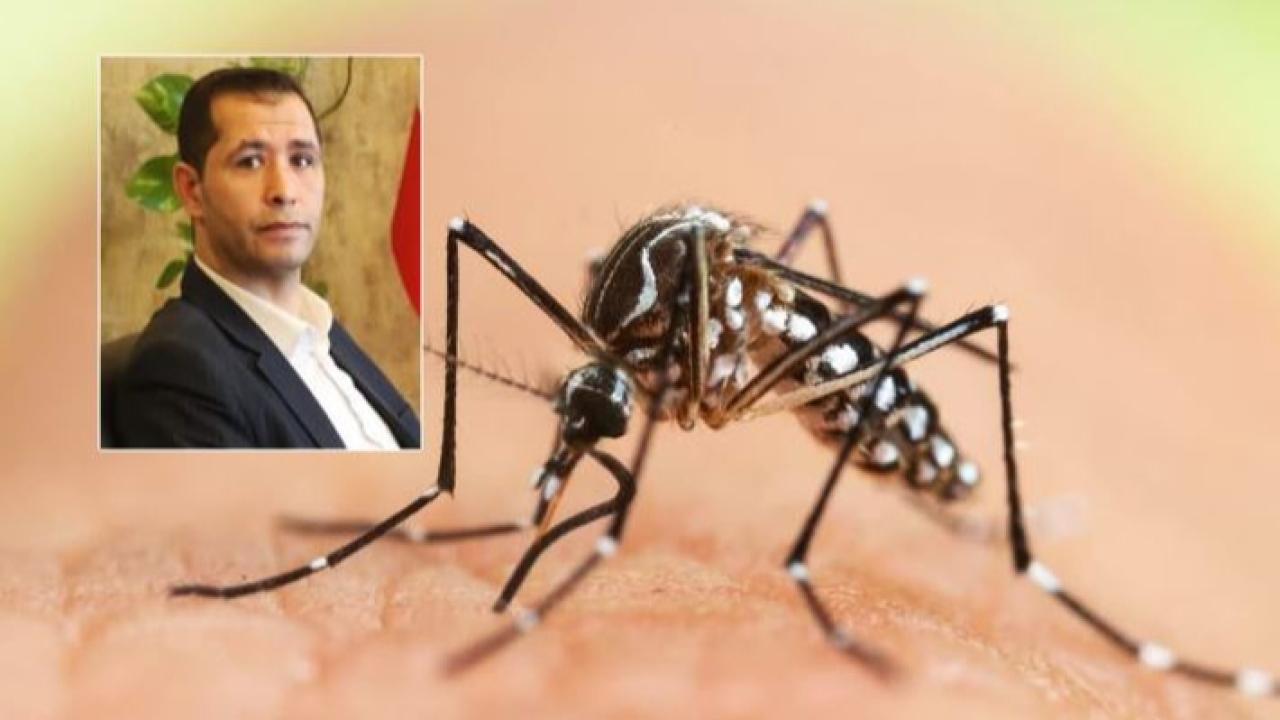 Yiğit’ten belediyelere sinek ve sivrisinek çağrısı