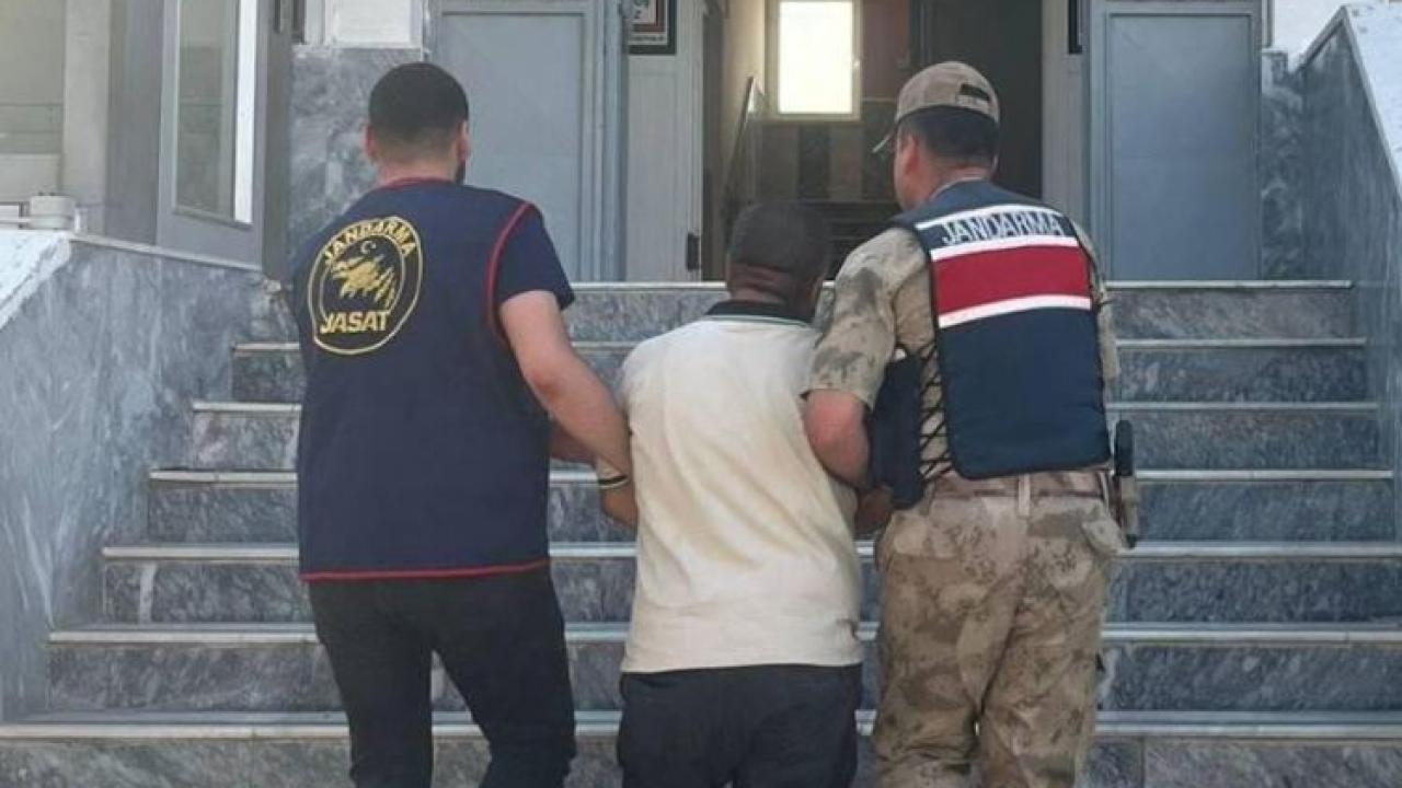 Birecik'te firari hükümlü jandarma tarafından yakalandı