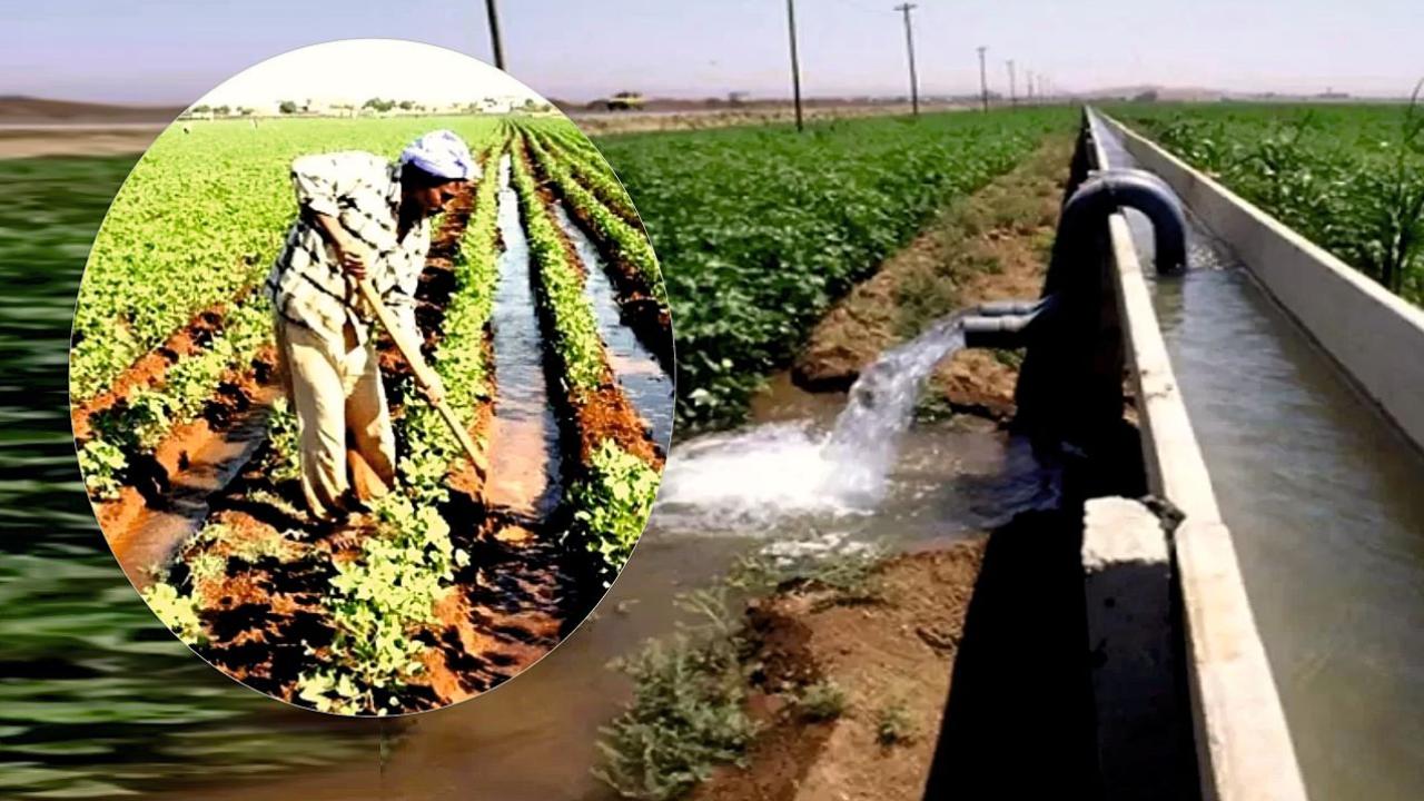 GAP'ın gizli düşmanı; Vahşi sulama
