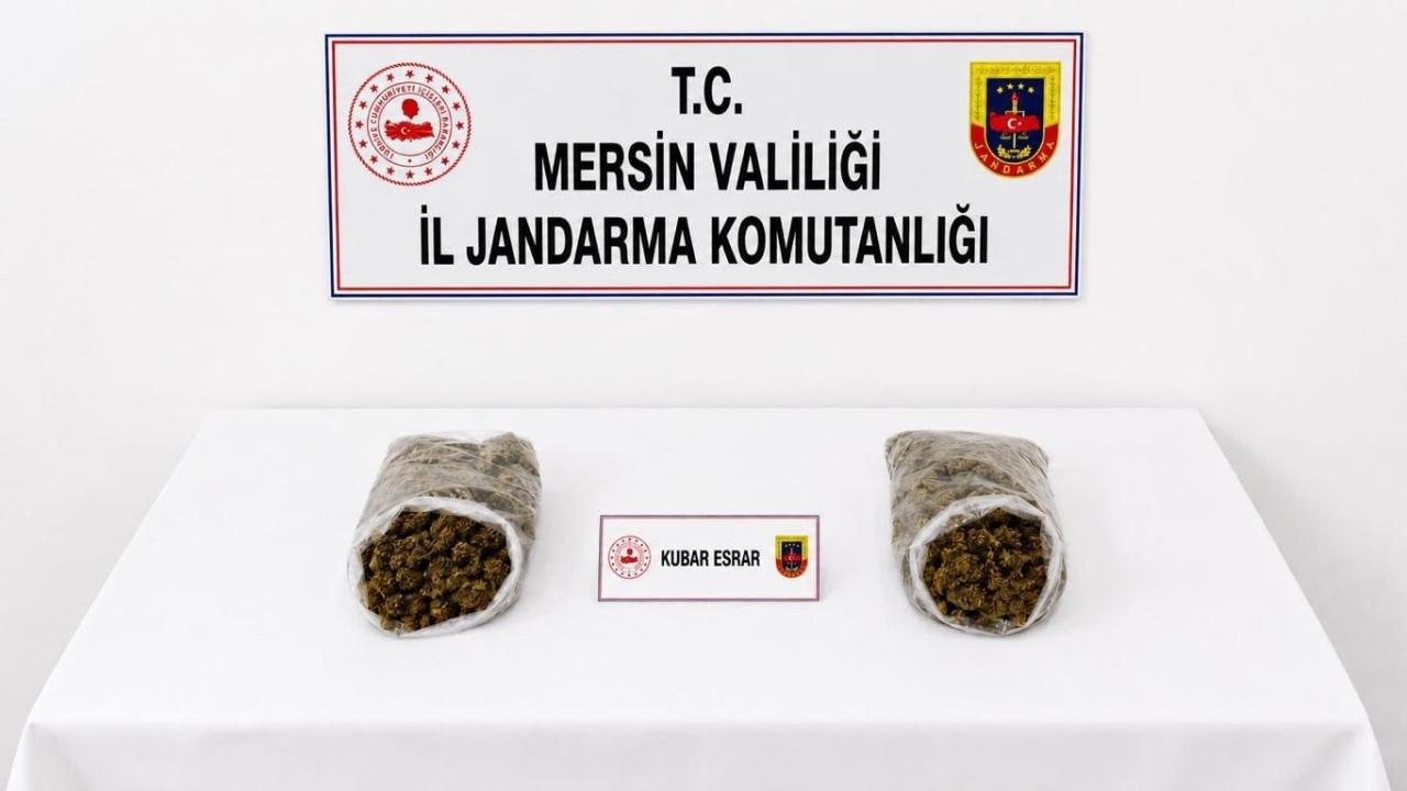 Otomatik Taslak