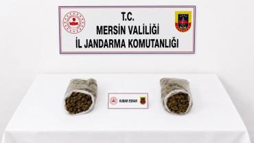Jandarmadan uyuşturucu operasyonu: 2 tutuklama