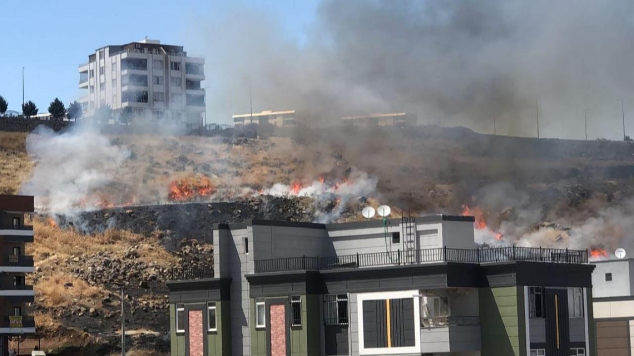 Karaköprü'de kuru ot yangını paniğe neden oldu