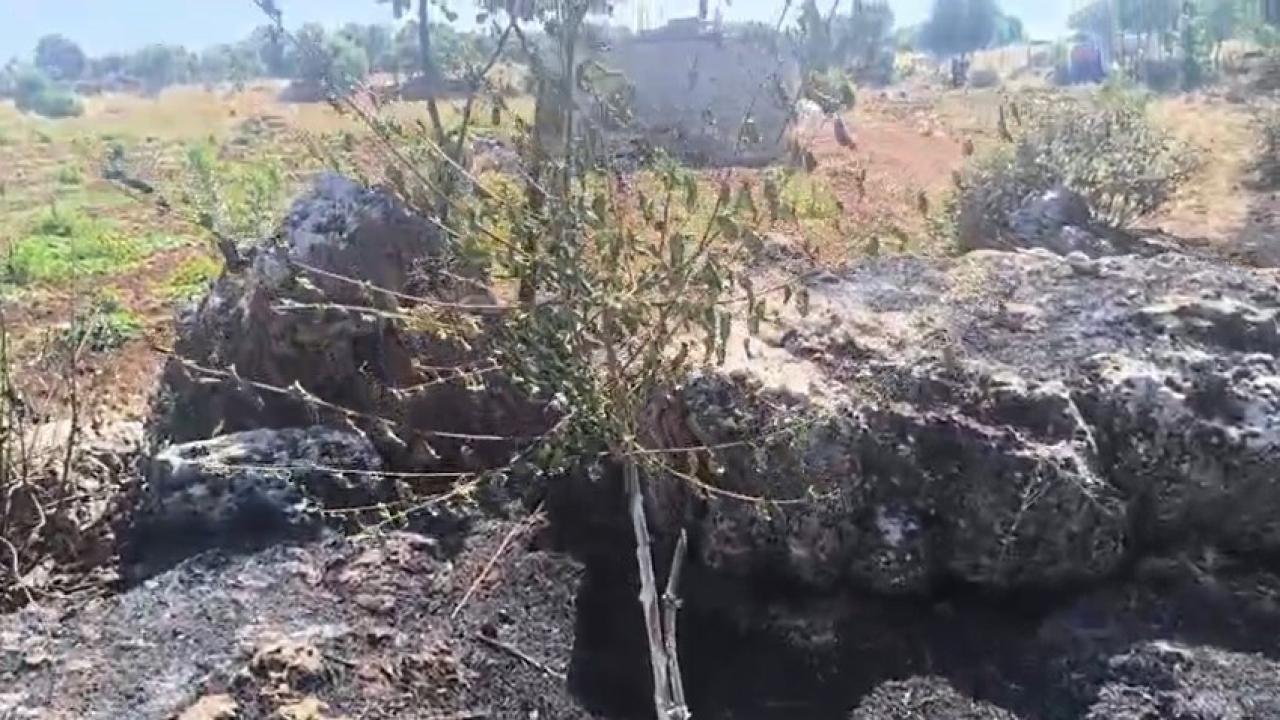 Örtü yangını: Onlarca meyve ağacı alevlere teslim oldu