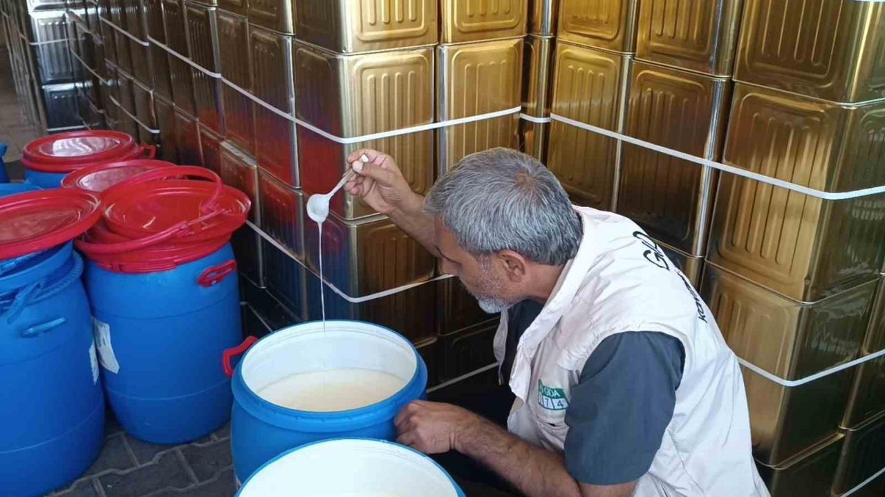 Otomatik Taslak