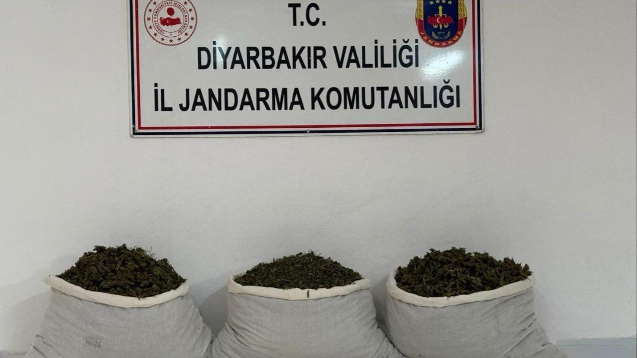 Otomatik Taslak