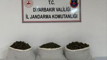 107 kilo esrar maddesi ele geçirildi