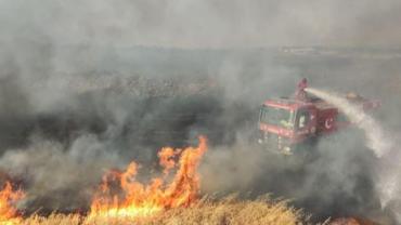 Şanlıurfa’da 150 dönüm arazi daha alevlere teslim oldu